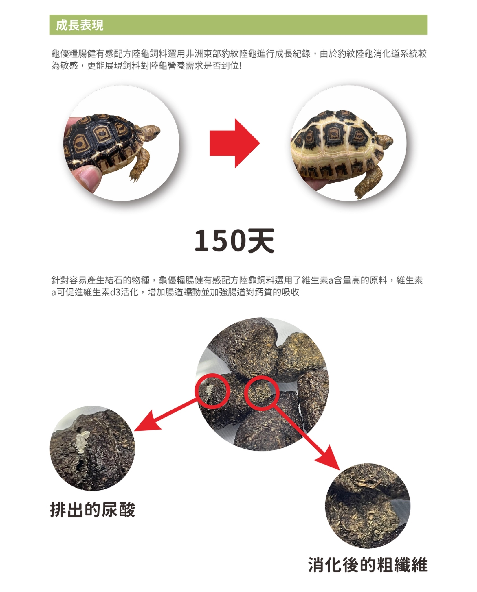 陸龜食用龜優糧在成長及排酸上效果顯著.jpg