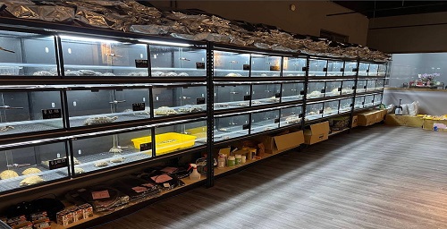 乾淨整齊的陸龜專賣店