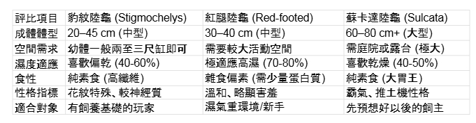 豹龜櫻桃紅腿蘇卡達陸龜比較.jpg 豹龜櫻桃紅腿蘇卡達陸龜比較.jpg