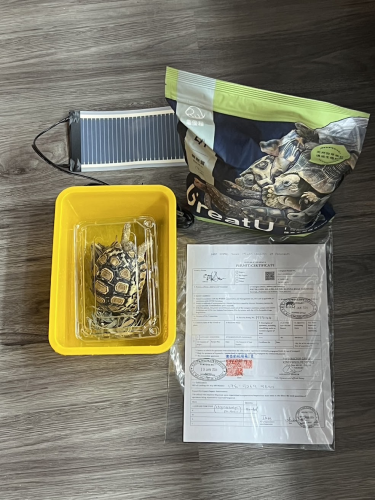 豹紋陸龜證書CITES及龜優糧飼料.png 豹紋陸龜證書CITES及龜優糧飼料.png