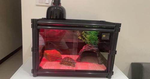 密閉型陸龜飼養箱.jpg 密閉型陸龜飼養箱.jpg