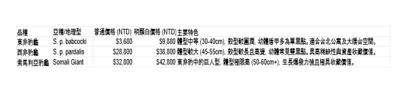 豹龜價格.jpg