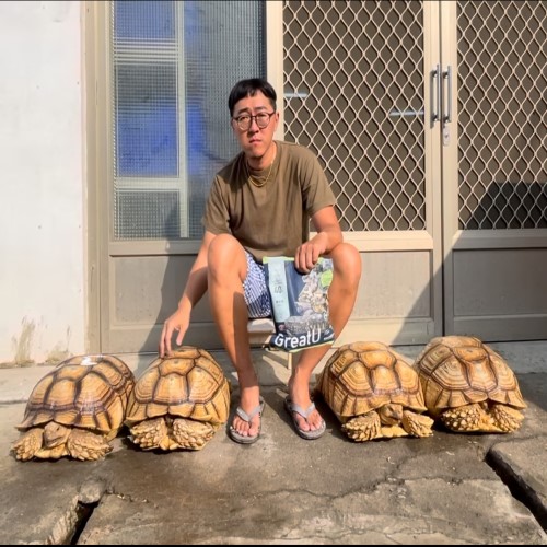 蘇卡達大小.jpg