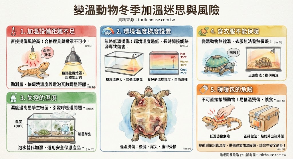 看過就能避開冬季飼養地雷!五個冬季爬蟲飼養.陸龜飼養須知| 台北陸龜 ...