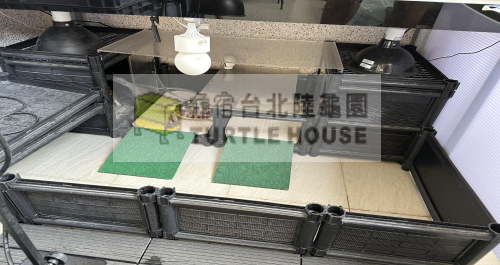 蘇卡達飼養.png 蘇卡達飼養.png