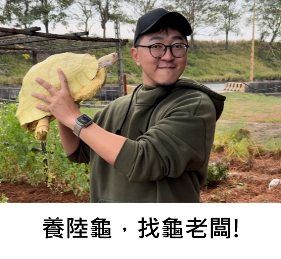 龜老闆養陸龜.png